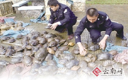 ... 图片,红番区,丹尼尔·亨利和刘雯,和尚最帅动漫图片