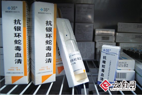 德宏抗蛇毒血清告急