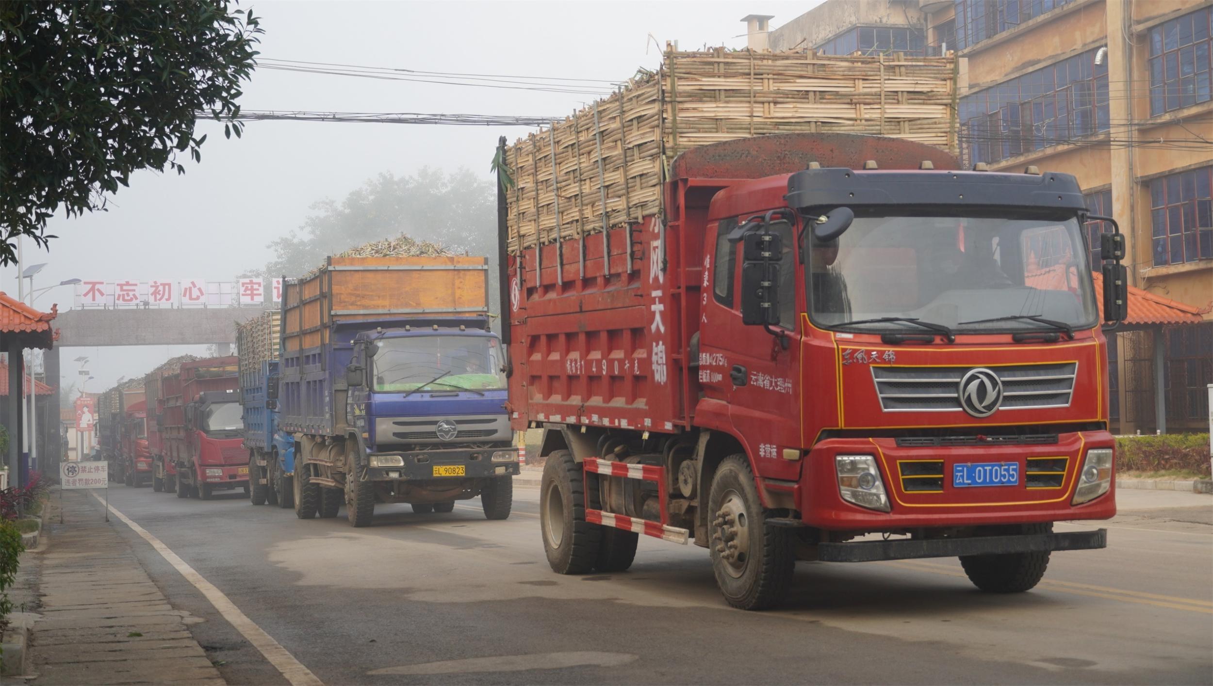 陇川糖厂开榨 新设备助力新形势