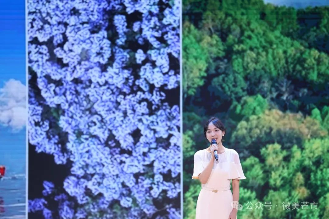 德宏首场文艺边境行活动在芒市精彩上演 图7