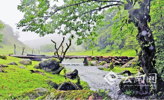德宏芒市:生态田园风光如画_云南网