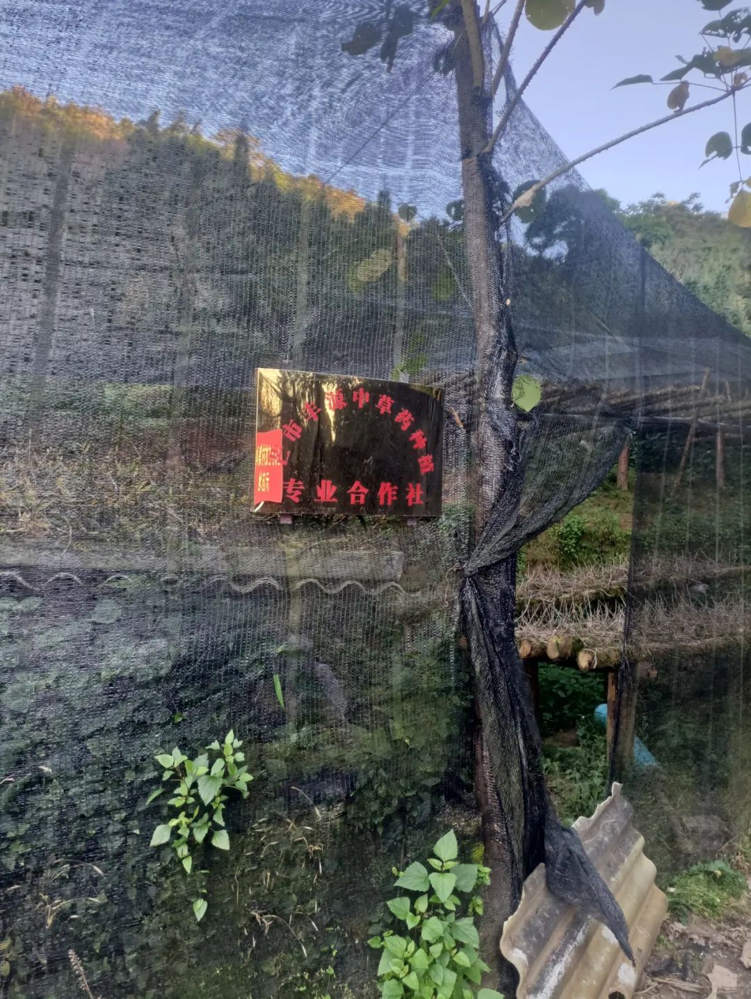 芒市江东乡抱团壮大村集体经济