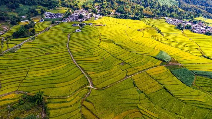 梁河:春耕备耕忙 农田气象新_要闻_德宏频道_云南网